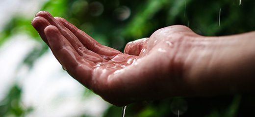 Rainwater harvesting techniques